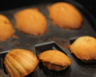 Madeleines 